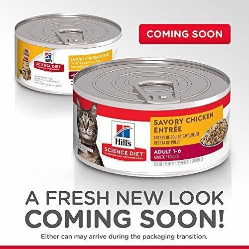 Dieta de la ciencia de la colina Comida Húmeda Para Gatos