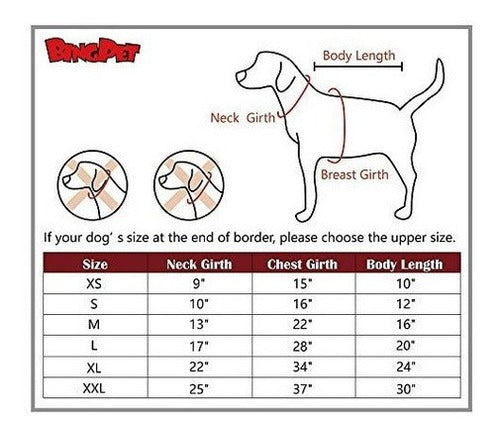 ropa para perro pequeño