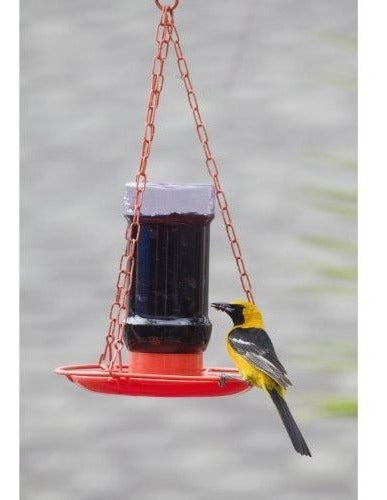 Comedero para pájaros silvestres