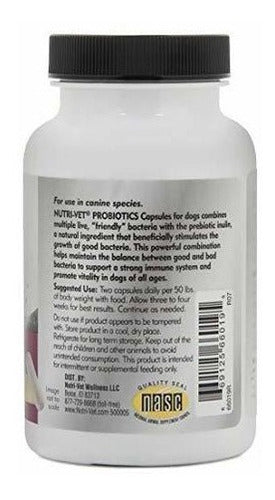 suplementos Para Perros