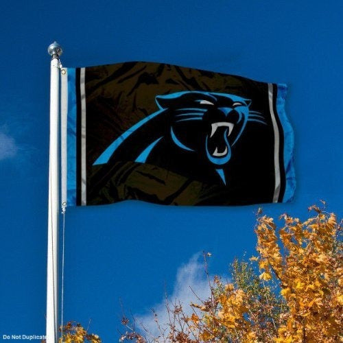 Bandera Wincraft Carolina Panthers Large Nfl 3x5