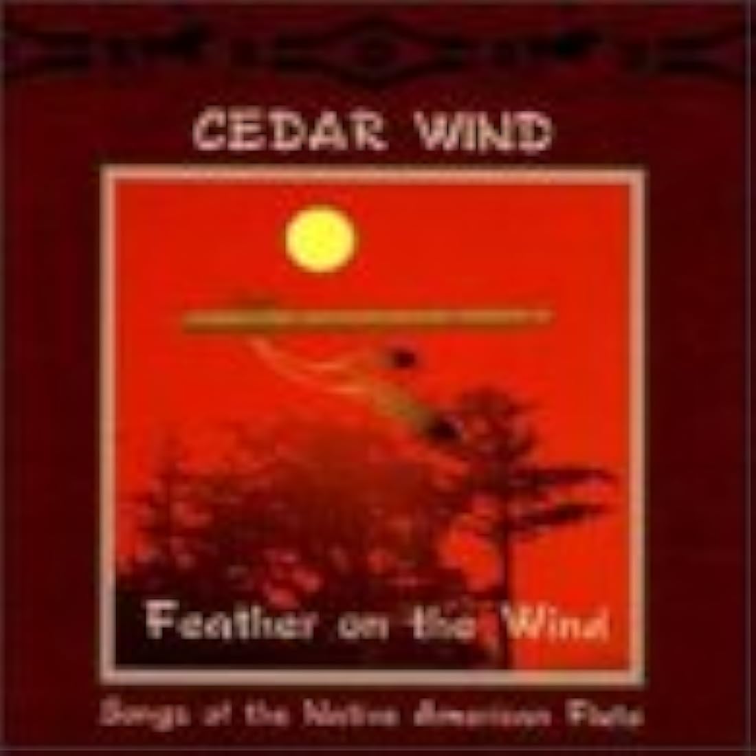 Plumas en el viento