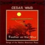 Plumas en el viento