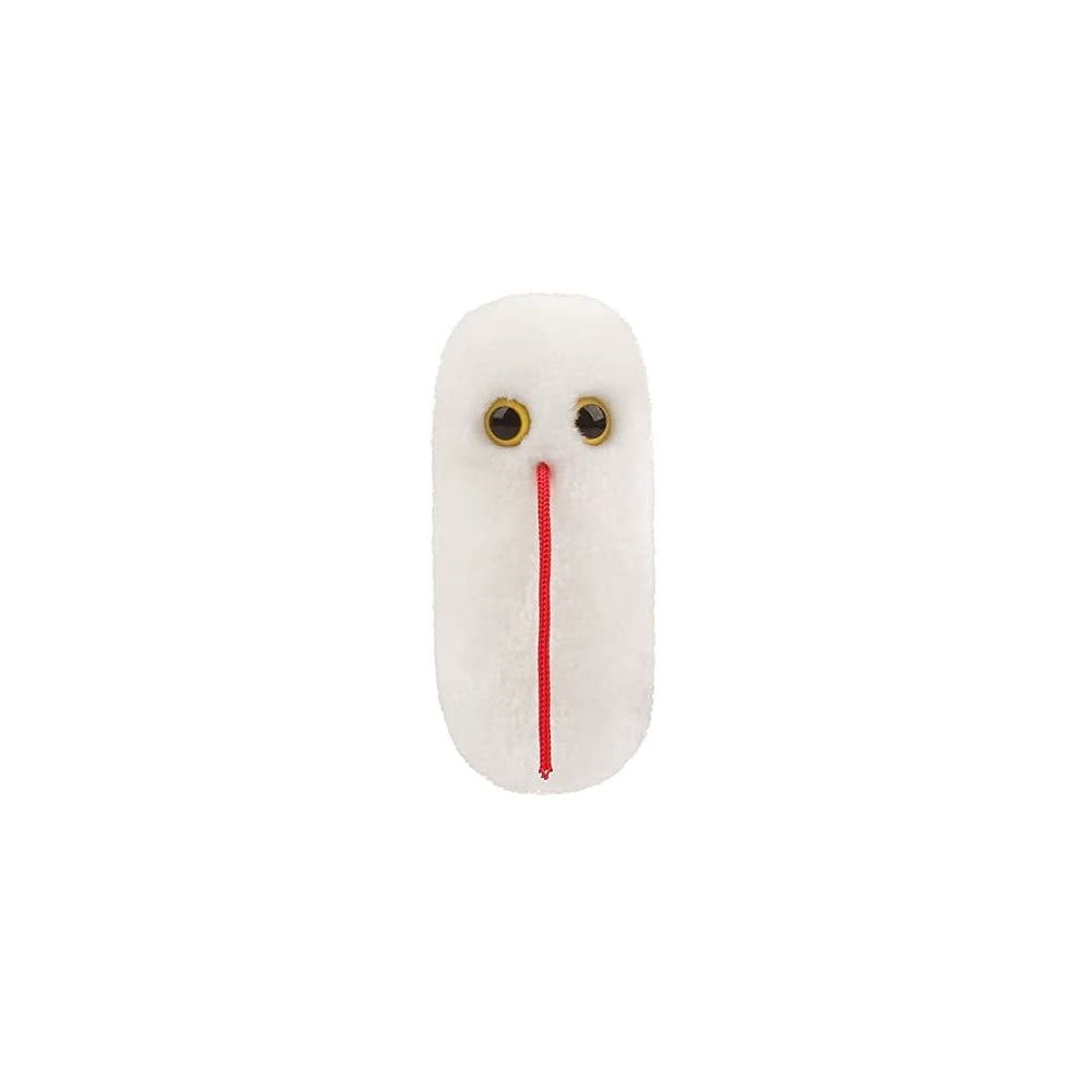 Peluche gigantes Salmonella Typhimurium peluche
