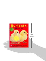 libro Bright Baby Bilingual Touch and Feel