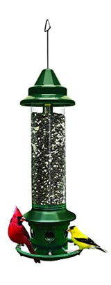 Squirrel Buster Plus - Comedero para pájaros a prueba de ardillas con anillo cardenal