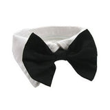 Disfraz de Mascota Collar Negro