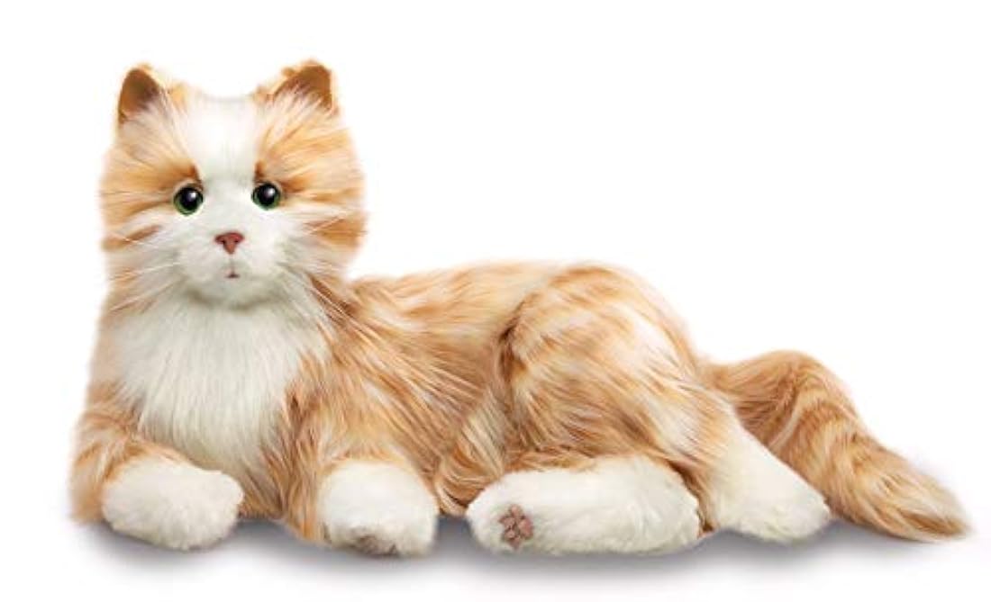 Entretenimiento para todos los gatos