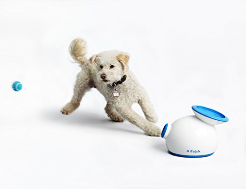 Lanzador de Pelotas Interactivo iFetch para Perros