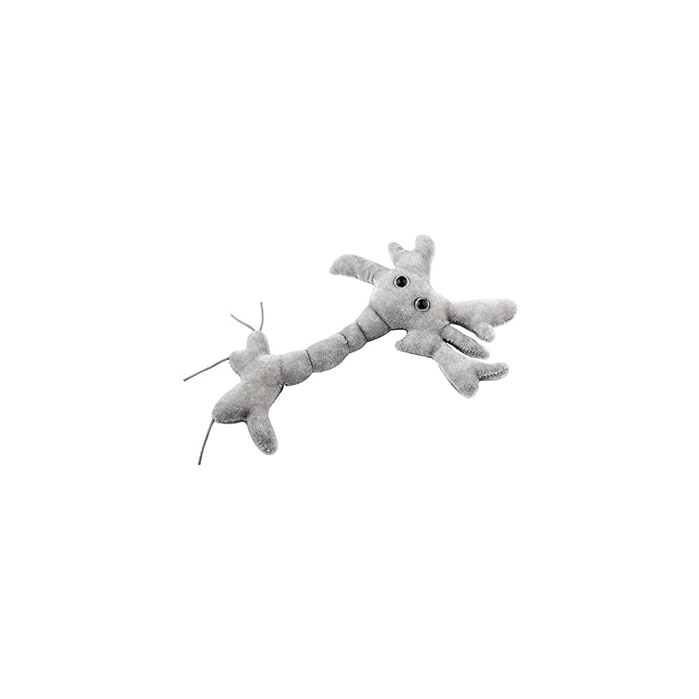 peluche célula cerebral (neurona) Gris