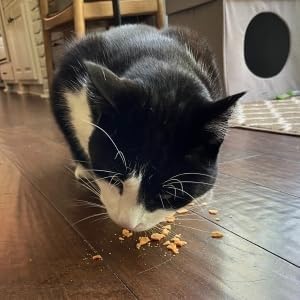 Crumbles de Pavo para Gatos | Delicias Saludables para Mascotas