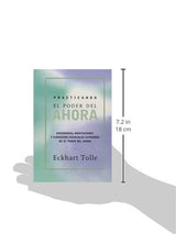 Practicando el poder de ahora libro