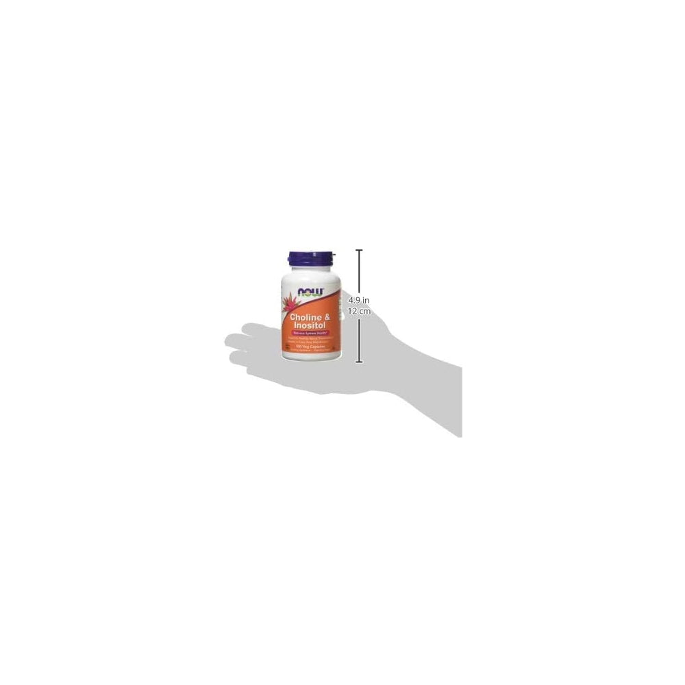 Suplemento Colina e inositol 500 mg - 100 cápsulas