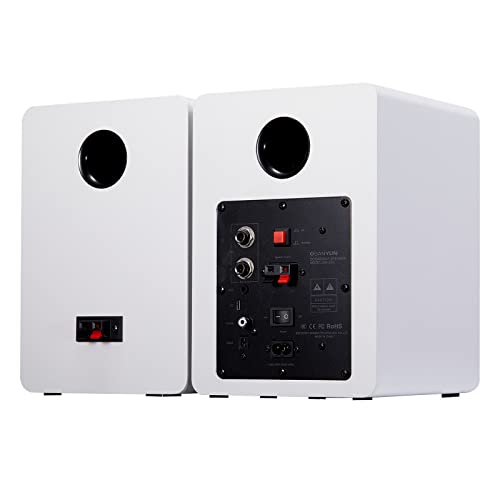 Altavoces de estantería de doble modo de 80 W Sanyun SW206