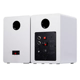 Altavoces de estantería de doble modo de 80 W Sanyun SW206