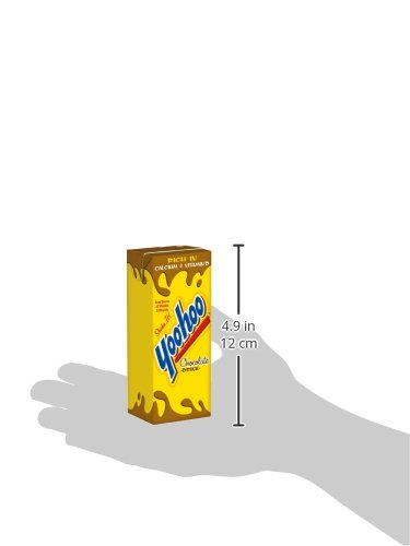Bebida de Chocolate Yoo-hoo, 6.5 fl oz, 4 Paquetes de 10