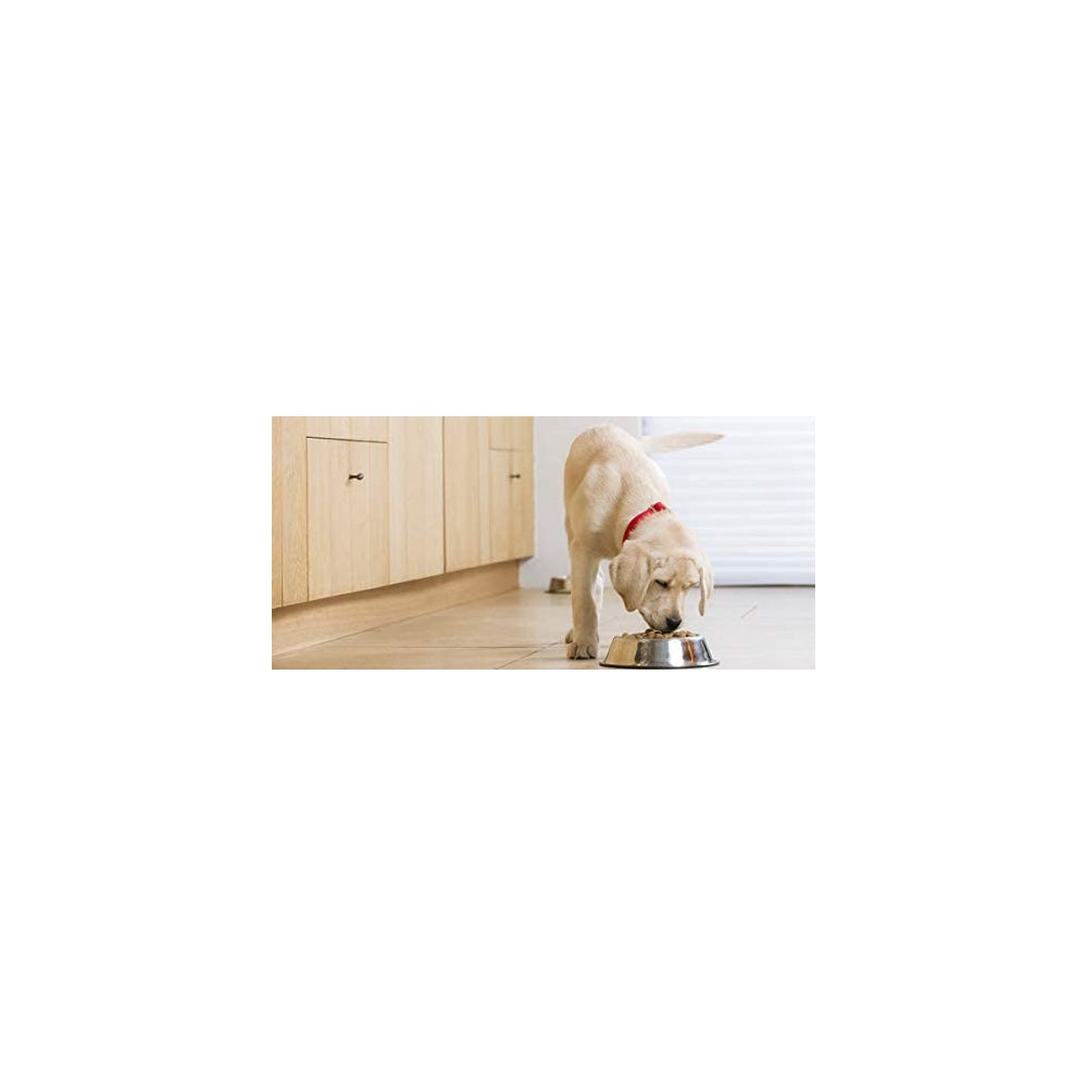 Vitaminas para mascotas probióticos para perros sin cereales