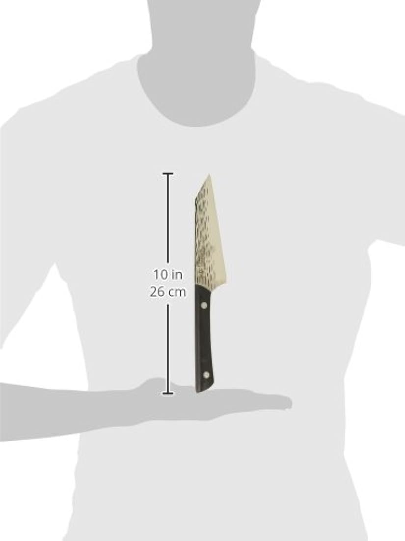 Kai HT7069 - Cuchillos de cocina profesional, cubiertos
