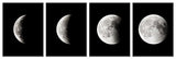 Cuadros de fotografías en blanco y negro - Wieco Art