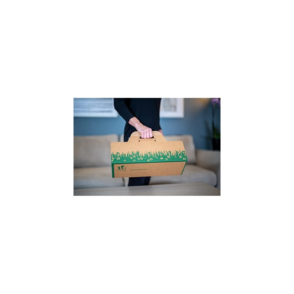 Cajas desechables Solución biodegradable  eliminación rápida