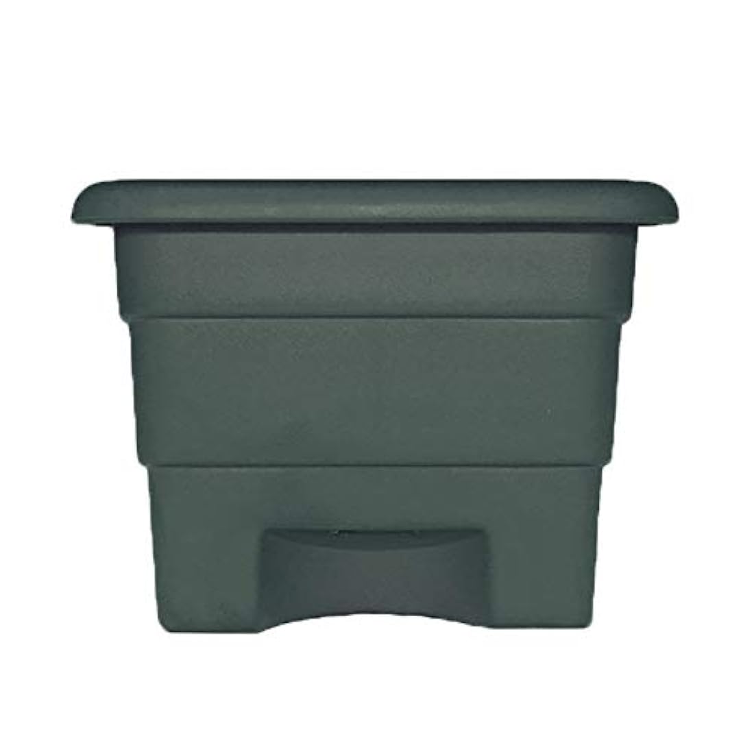 Novelty Co  - Kit de jardinería junior