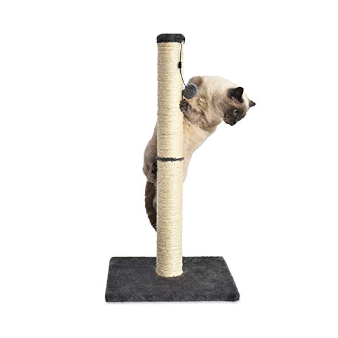 Rascador y hamaca para gatos.
