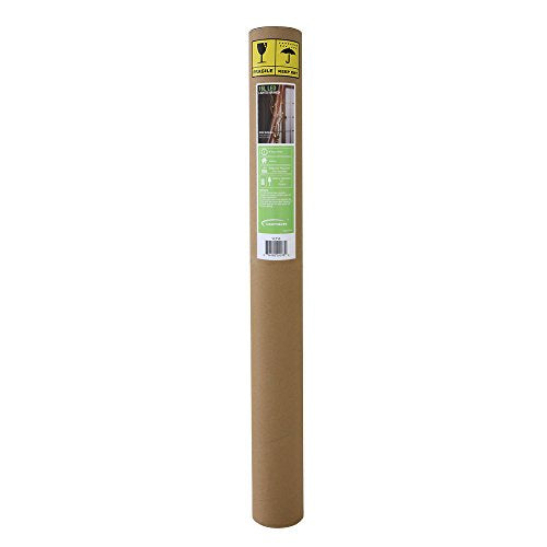 Rama iluminada para decoración del hogar