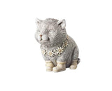 Roman 7.75 de alto día lluvioso Pudgy gato