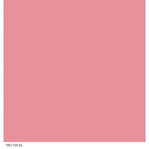 Lápiz labial de color continuo Cuarzo rosa 13 oz