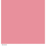 Lápiz labial de color continuo Cuarzo rosa 13 oz