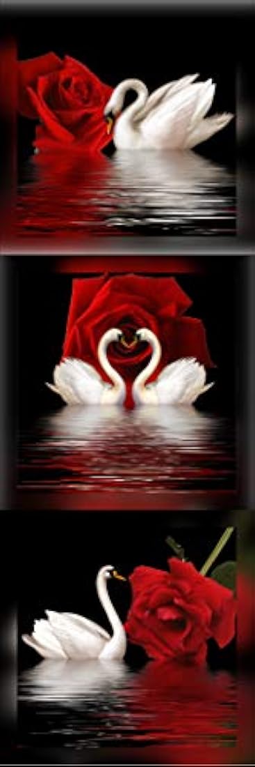 Amoy Art – Cisnes y rosas, modernas reproducciones en lona