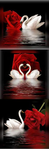 Amoy Art – Cisnes y rosas, modernas reproducciones en lona