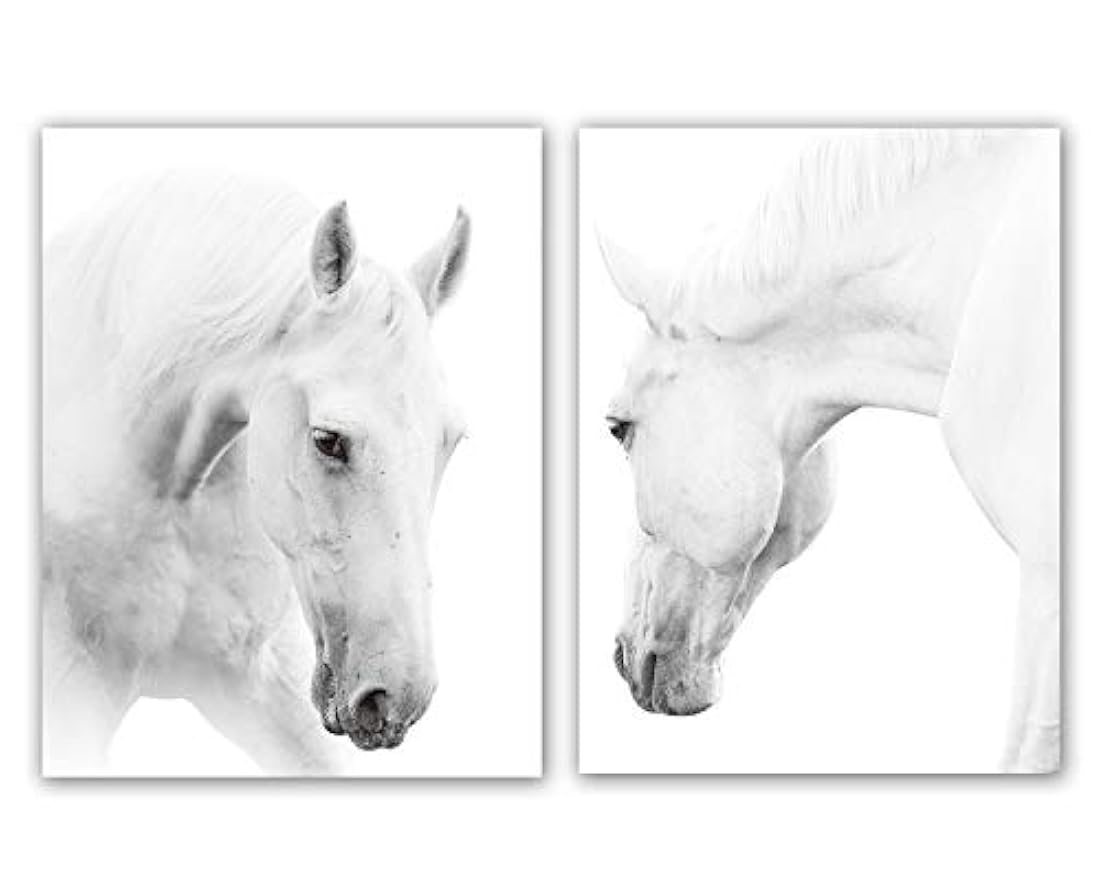 Juego de 2 ilustraciones de caballos blancos, 12.0 x 16.0 in