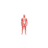 Disfraz Overol para cuerpo entero de licra  talla S