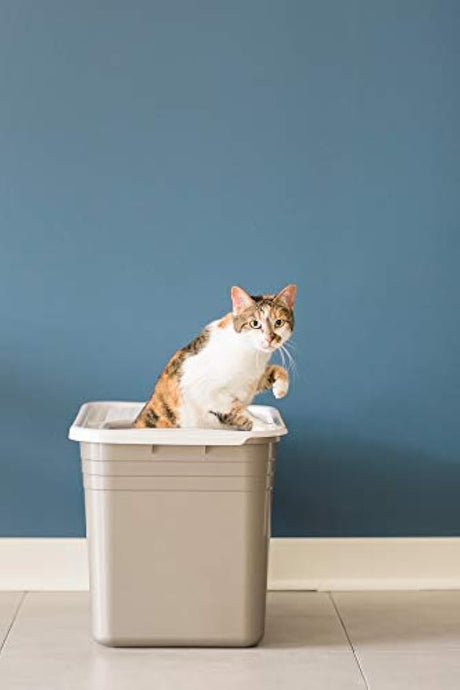 petmate - Arenero para gatos con tapa