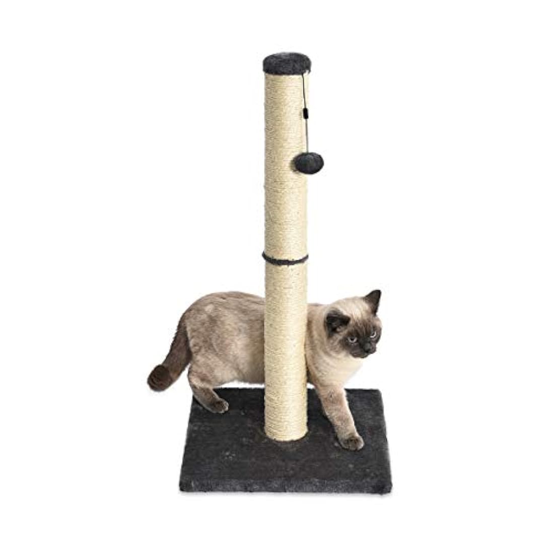 Rascador y hamaca para gatos.