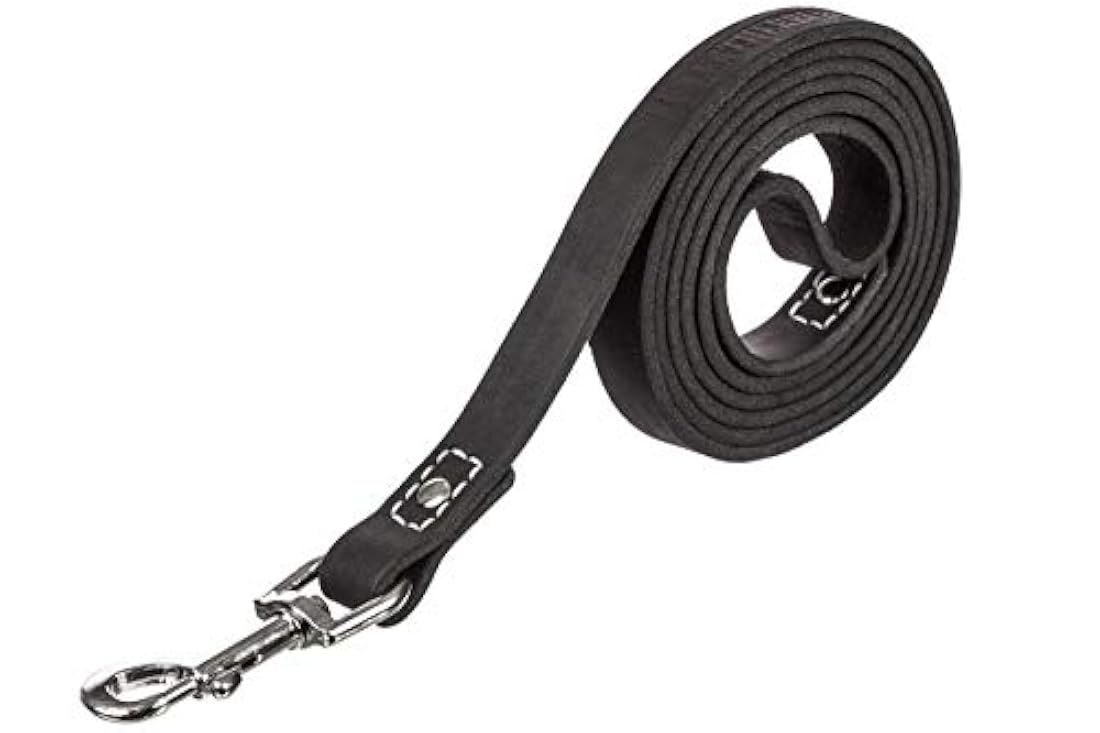 Correa de cuero para entrenamiento para perros