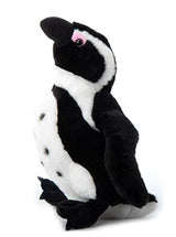 The Petting Zoo Penguin ABF
