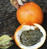 Semillas de Granadilla 25 pcs, Passiflora Ligularis, Fruto