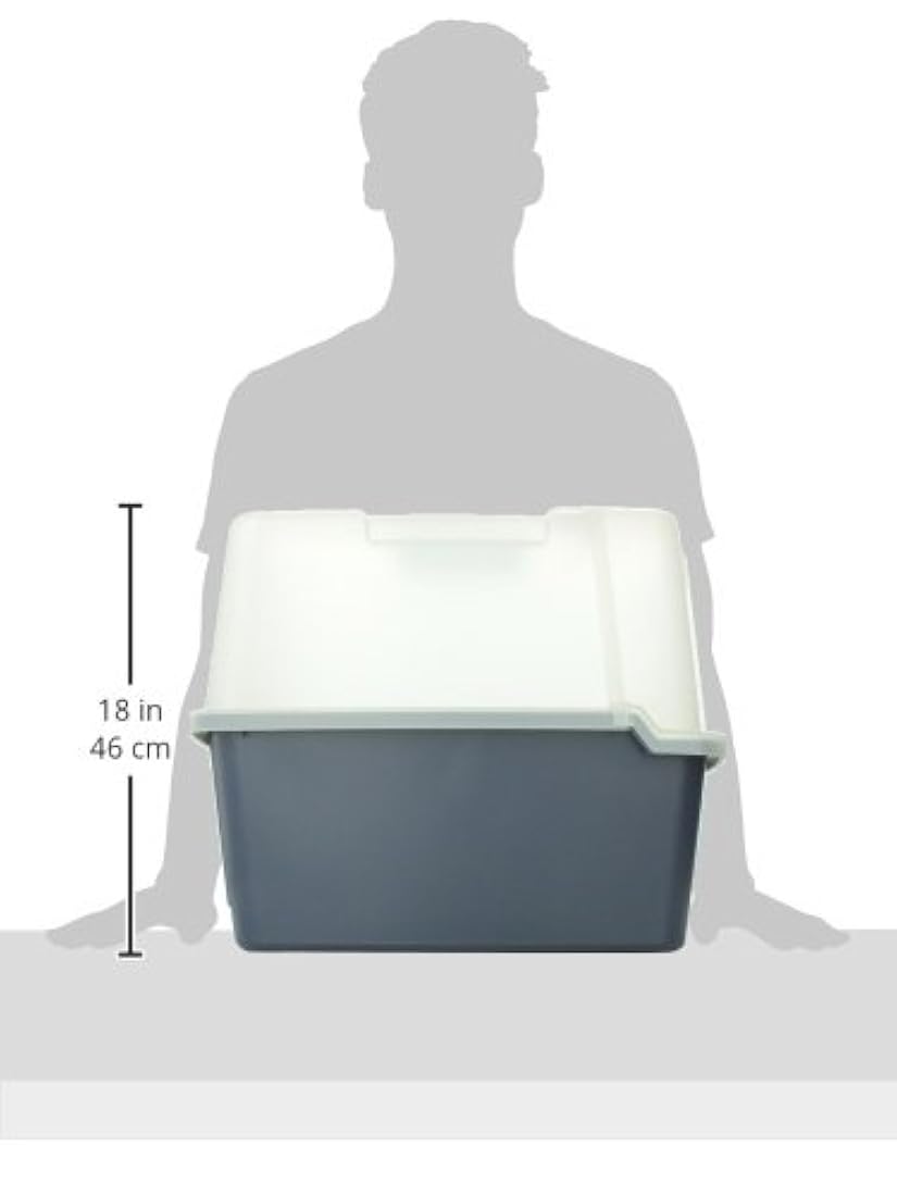 Caja de arena con techo dividido
