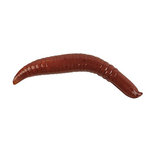 Cebo para pesca