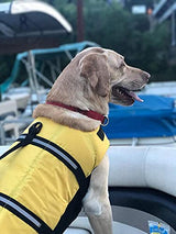 Chaleco salvavidas para perro con rayas reflectantes