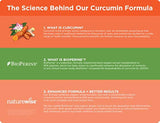 Curcumina orgánica