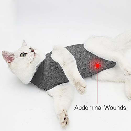 Traje de recuperación de cirugía para gatos para heridas abdominales quirúrgicas, ropa de interior para mascotas, cuello E alternativo para gatos después de la cirugía