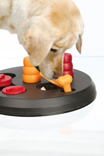 Plato de comida para mascotas