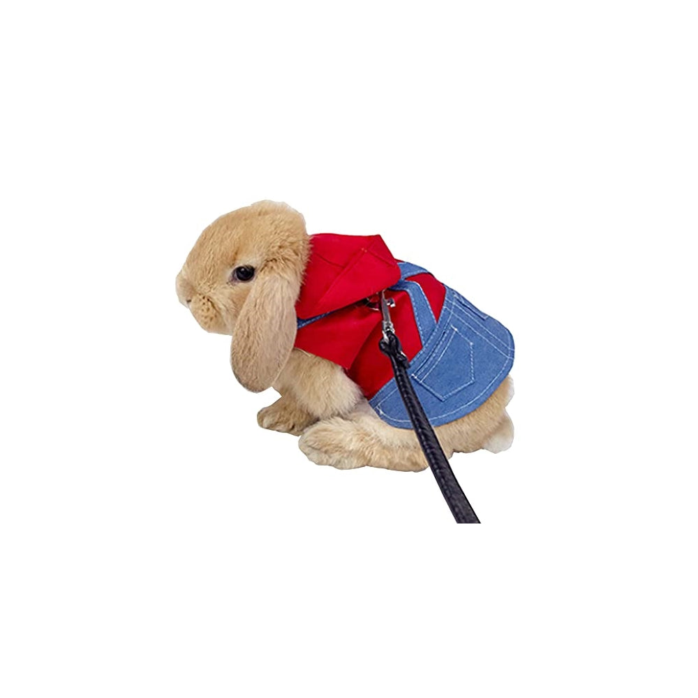 Disfraces de conejo para mascotas pequeñas talla S