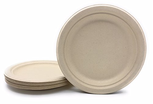 Platos redondo con papel ecologico