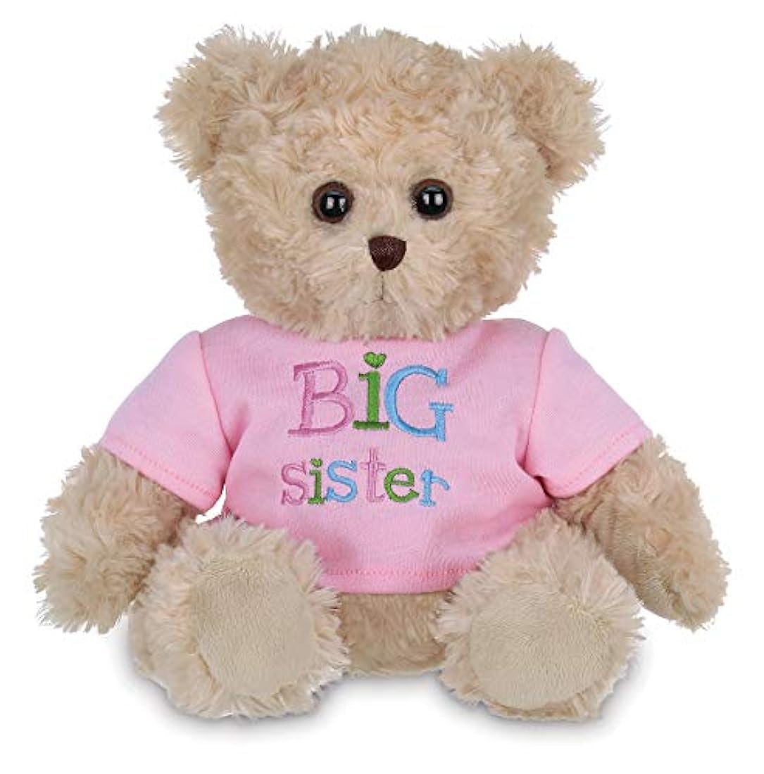 Oso de peluche (12.0 in), color rosa