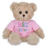 Oso de peluche (12.0 in), color rosa