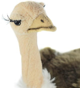 Peluches  Cuento de avestruz